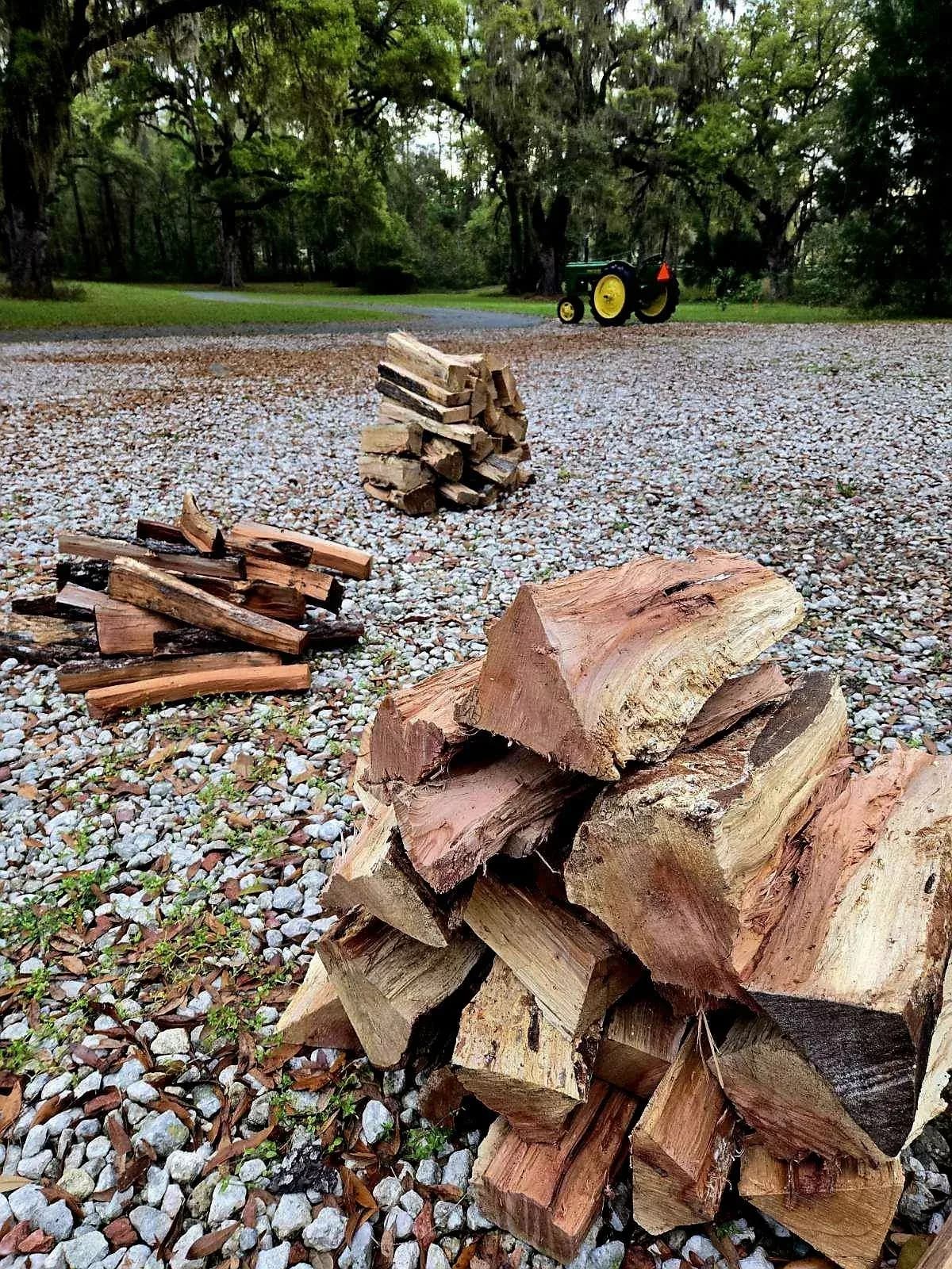 Split firewood bundles stacked on gravel beside the tree line