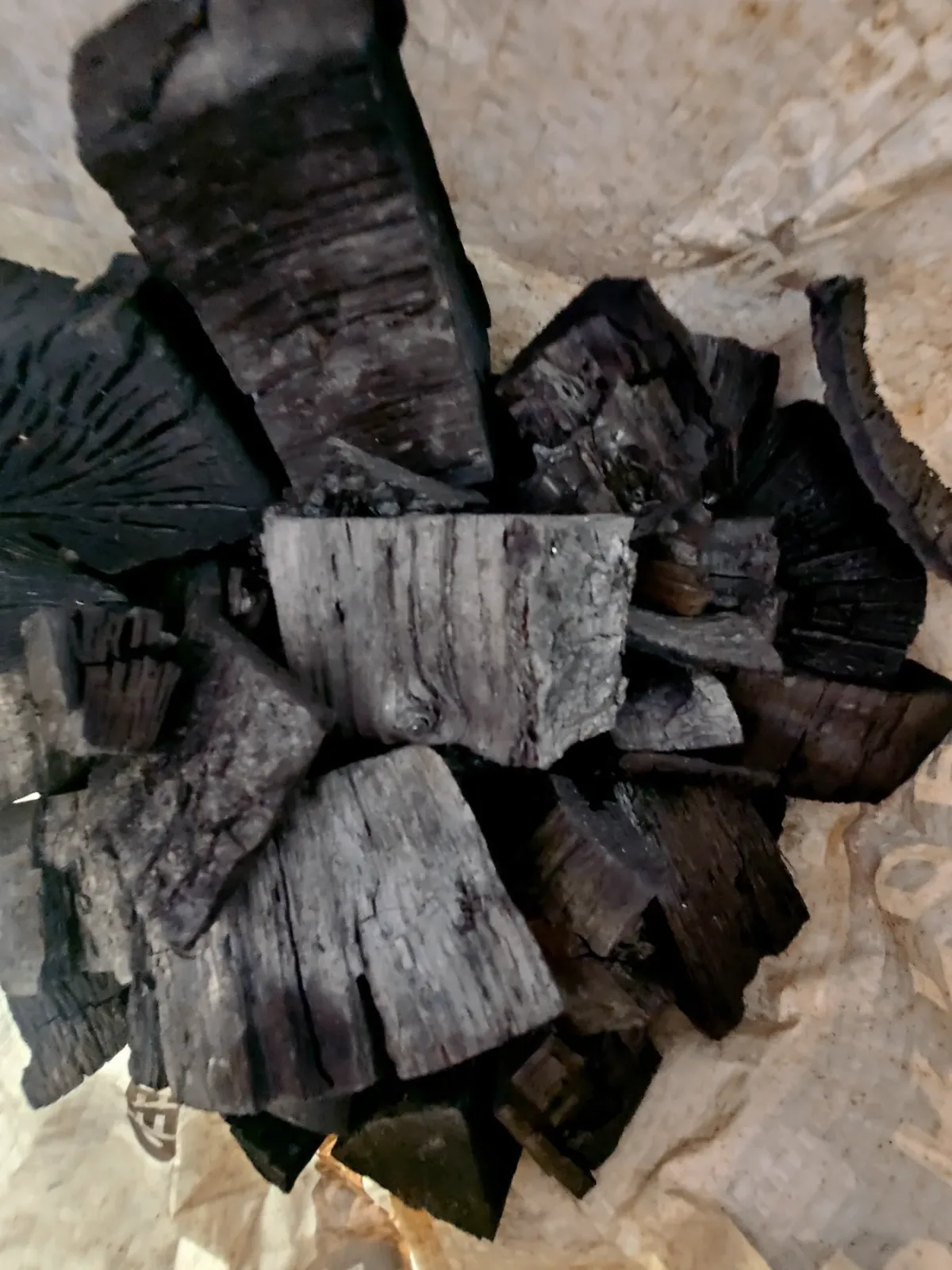 Chunks of hardwood lump charcoal spread out in close view