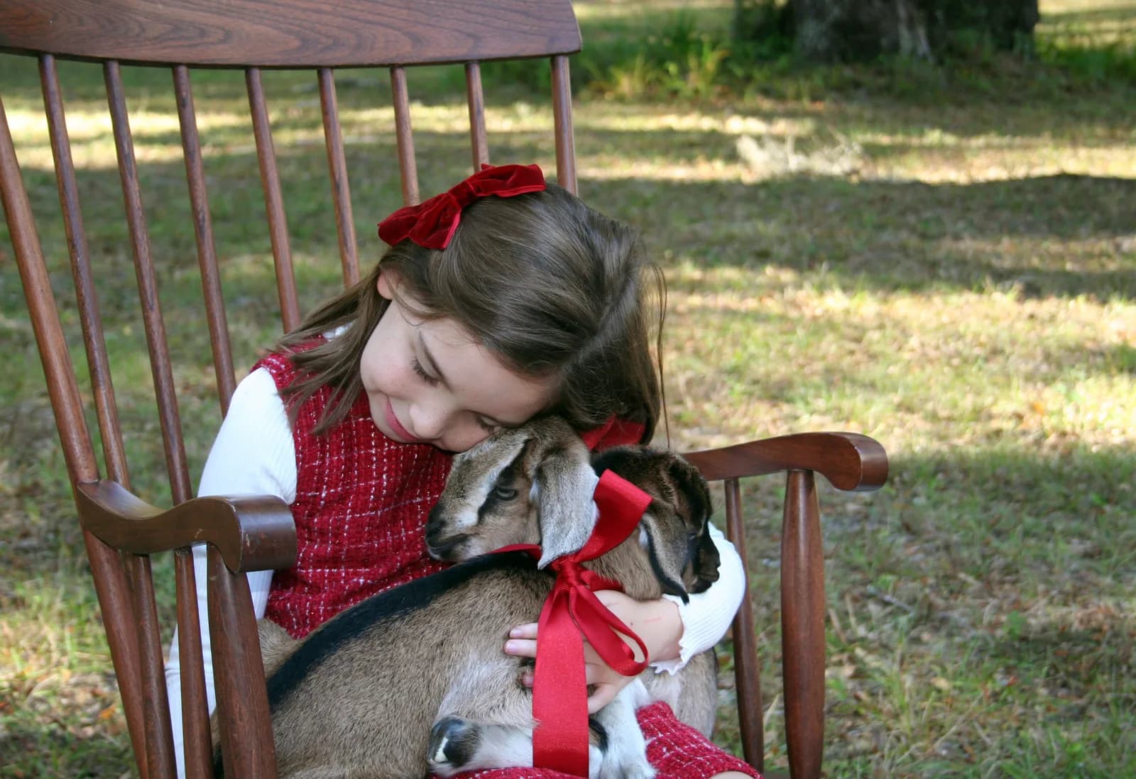 Betsy and Adam's daughter Elizabeth, in a red dress with a red bow in her hair, sitting in a wooden rocking chair on the grass and hugging a baby goat wearing a red ribbon.