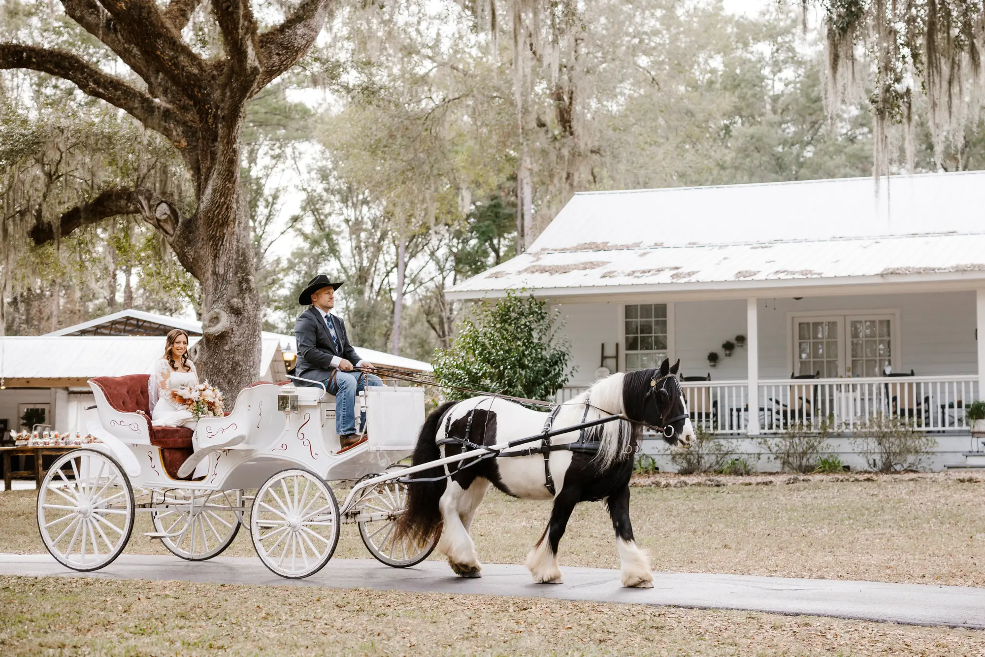 A white horse drawn carriage carrying a bride along the drive, passing a white farmhouse with a metal roof and a covered porch, live oaks overhead.